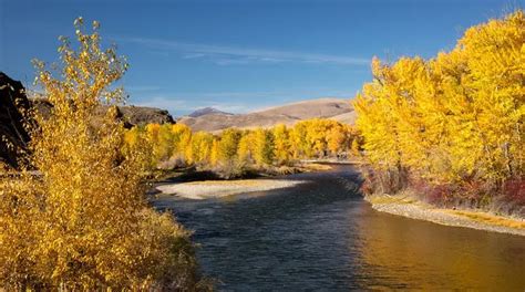 Salmon Fishing In Idaho: A Comprehensive Guide 2025