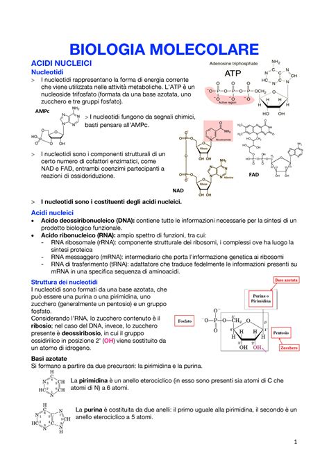 Biologia Molecolare Riassunto Biochimica Applicata BIOLOGIA