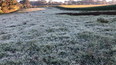 PR e SC tem novos episódios de geadas Temperaturas continuam baixas no