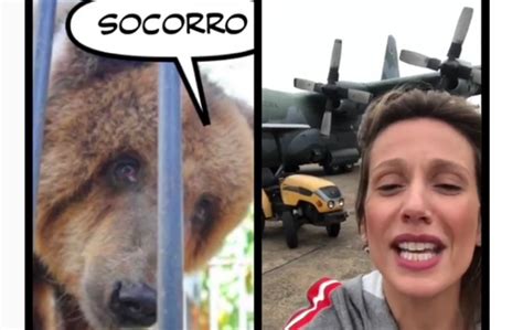 Luisa Mell Se Emociona E Chora Ao Resgatar Ursa Conhecida Como A Mais