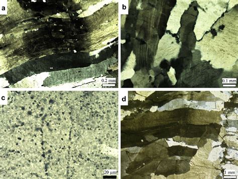 Microstructures And Fl Uid Inclusions In Vein Quartz Of Neck Domains Download Scientific