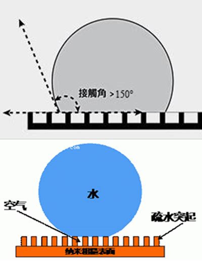 超疏水材料：我虐水滴千百遍，水滴待我如初恋