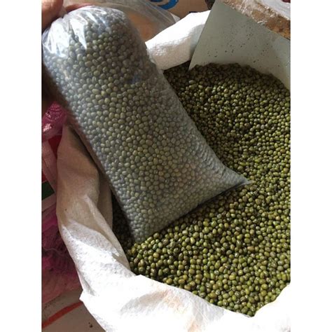 Jual Kacang Hijau Kacang IJo ORGANIK Kualitas Super Ukuran 1kg Shopee