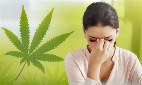 Side Effects Of Cbd What You Need To Know