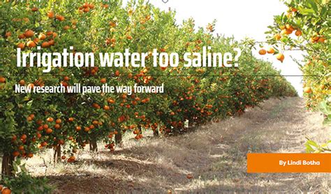 Irrigation water too saline? | Agra Middle East