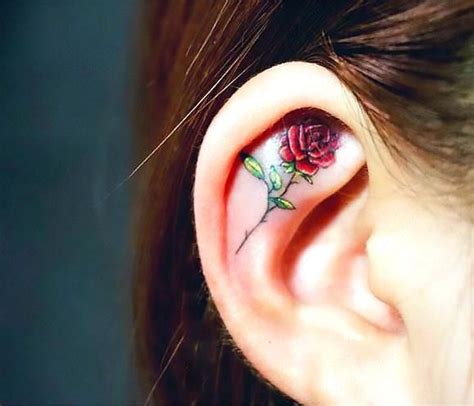 Red Rose Tattoo Behind Ear Shonta Wasson