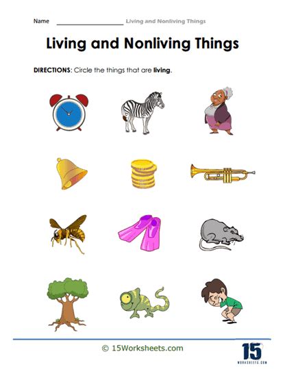 Living And Non Living Things Worksheets For Preschools Worksheets Library