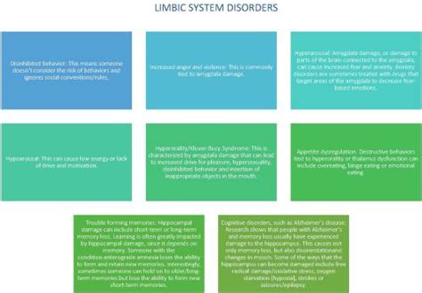 Disorders of The Limbic System | Doctors Beyond Medicine