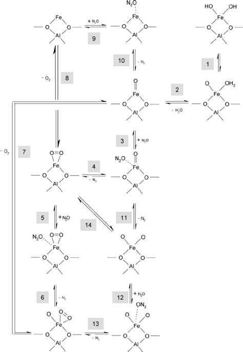 Reaction Network Of The N O Dissociation On Mononuclear Iron Oxo