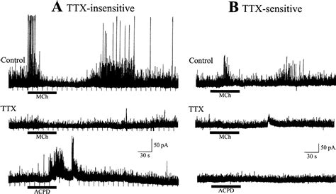 Control Of Dendritic Outputs Of Inhibitory Interneurons In The Lateral