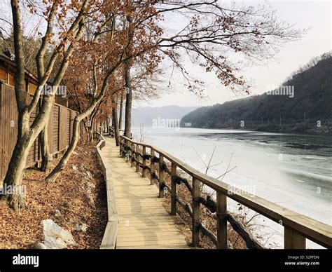 Winter in Nami island Stock Photo - Alamy