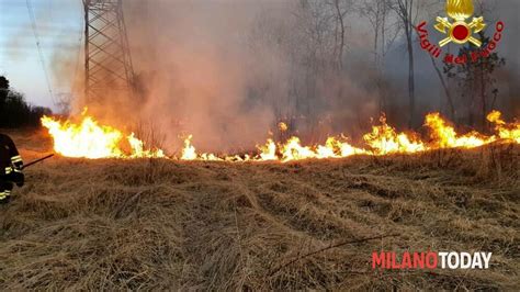 Maxi Incendio Nel Parco Delle Groane Distrutti Mila Metri Quadri Di