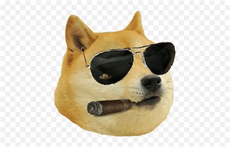 Doge Full Smiling, Memes, Doge, Shiba Inu, Png PNGWing, 41% OFF