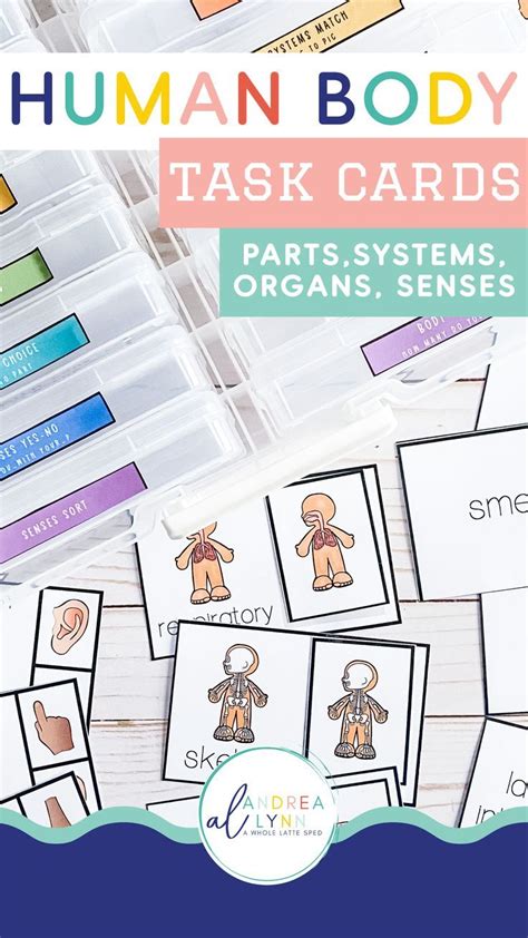 Human Body Parts Task Cards And Vocabulary Bundle