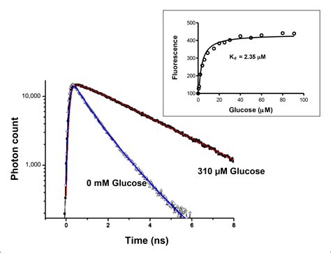 Fluorescence Intensity And Lifetime Based Glucose Sensing Using