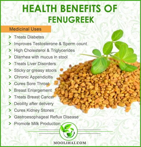 Does Fenugreek Help Skin At Glennscombso Blog