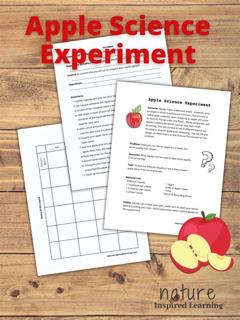 Apple Browning Science Experiment With Free Oxidation Worksheet Artofit