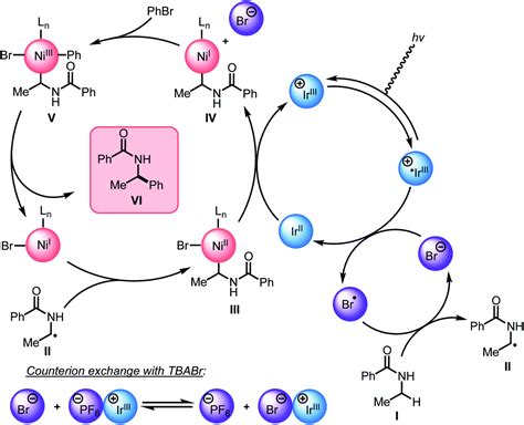 Investigations Into Mechanism And Origin Of Regioselectivity In The