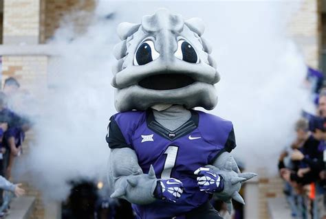 What In The Heck Is A Horned Frog And Why Is It TCU S Mascot Al