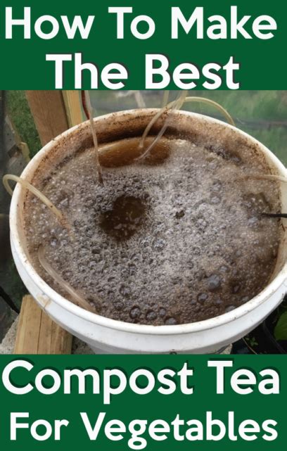 How To Make The Best Compost Tea NREQWY