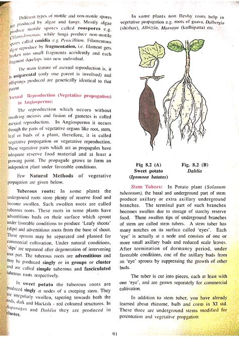 Solution Reproduction In Plants Studypool