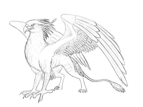 Creature Drawings Bird Drawings Creature Art Animal Drawings