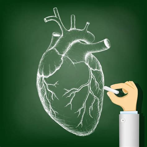 Heart Failure Drawings Illustrations, Royalty-Free Vector Graphics & Clip Art - iStock