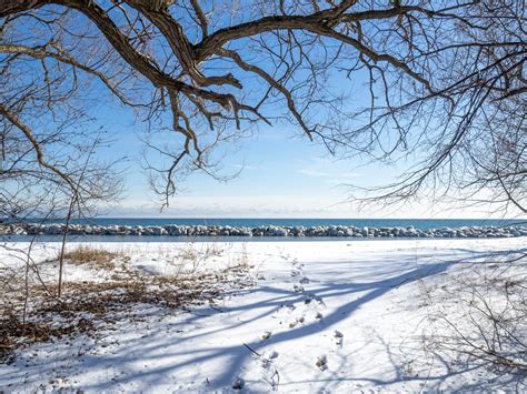 Toronto Islands in the Winter