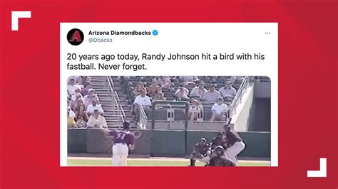 D Backs Pitcher Randy Johnson Hit A Bird With A Fastball 20 Years Ago