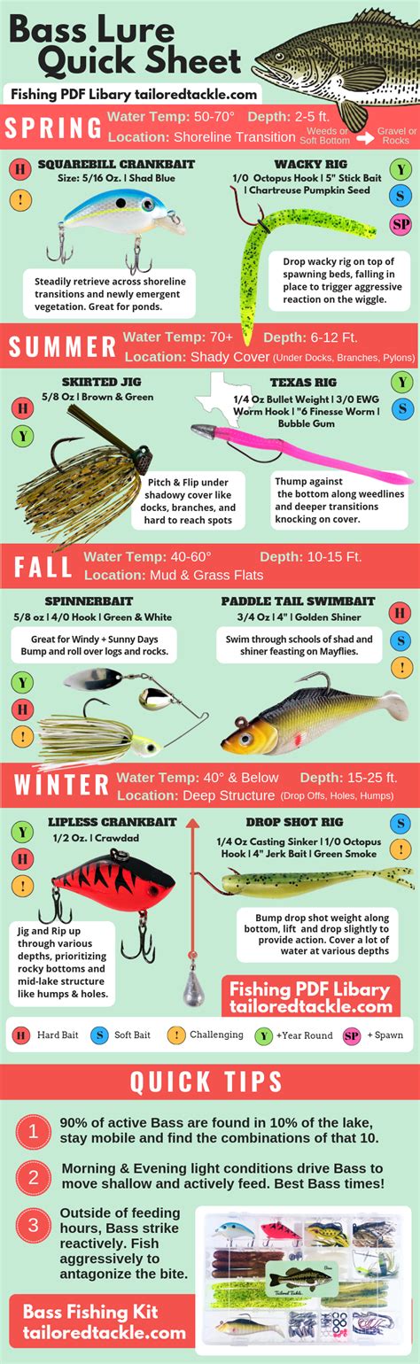 Bass Fishing Lure Diagram Fishing Tips Infographic Artofit