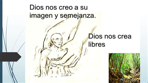 Tema 6 Dios Nos Creo A Su Imagen Y Semejanza QUINTO YouTube