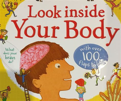 Usborne Look Inside Your Body Book Review