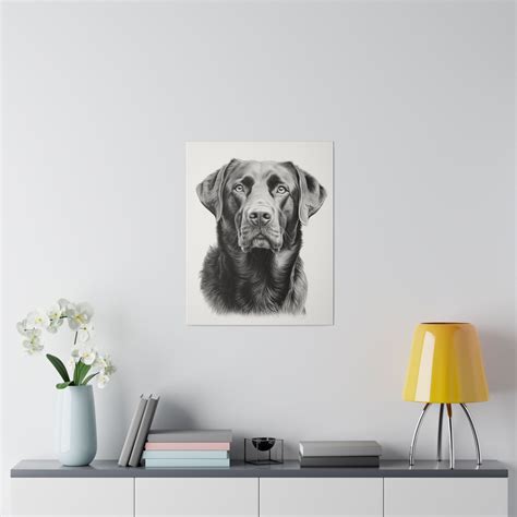 black labrador drawing 7