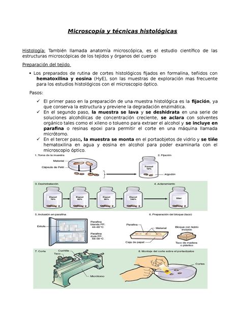 Microscop A Y T Cnicas Histol Gicas Microscop A Y T Cnicas