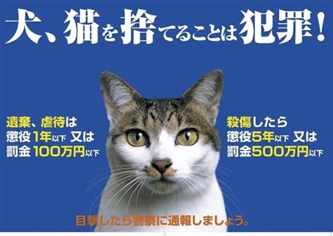 らむ 保護猫 on Twitter RT NPOSPICA 動物虐待の検挙数で最も多いのは動物の遺棄 捨てること です動物の遺棄は