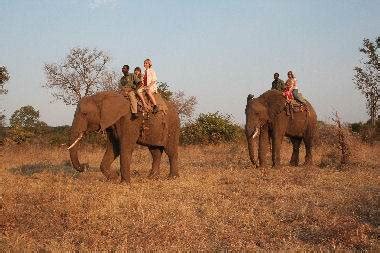 Elephant back Safari Victoria Falls