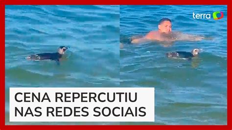 Pinguim surpreende e nada próximo a banhistas em praia no RJ Vídeo