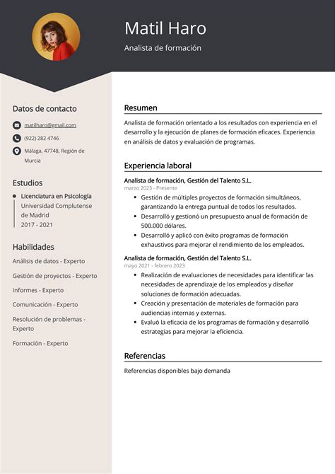 Ejemplos De Curriculum Vitae Analista De Formaci N Plantilla Y