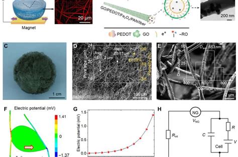 Bioinspired Electromechanical Nanogenerators To Regulate Cell Activity