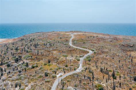 Top 5 Hiking Trails to Explore Aruba's Flora & Fauna