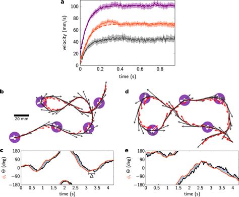 Inertial Delay In Particle Trajectories A Time Dependence Of The