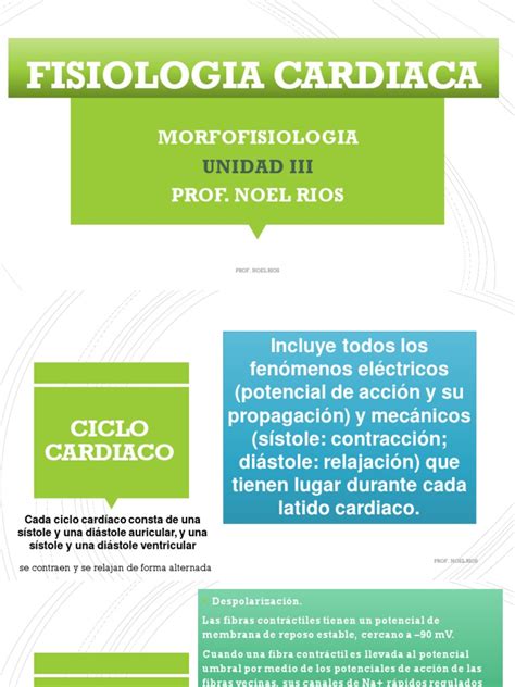 Fisiologia Cardiaca Pdf Electrocardiografia Fisiología