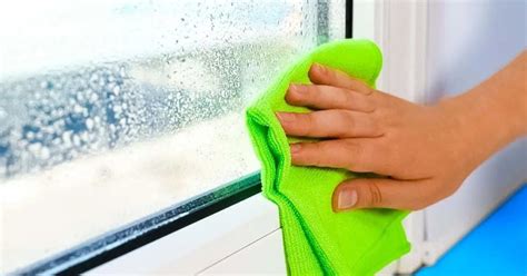 Solo Aplica Este Truco Para Limpiar Correctamente Las Ventanas Y Evitar