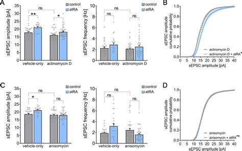 Figures And Data In All Trans Retinoic Acid Induces Synaptic Plasticity