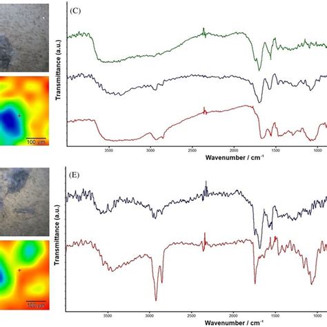 Fouriertransform Infrared Spectra Of Reference Bone Tissue C7 And