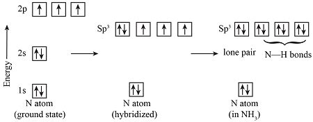 Using hybrid orbitals, describe the bonding in NH3 according to valence ...