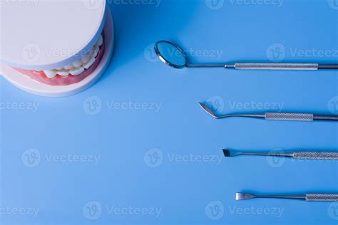 Modelo De Dentes Com Ferramentas Dentárias Em Fundo Azul 5325081 Foto De Stock No Vecteezy