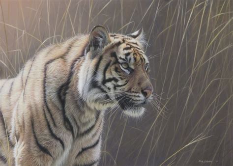 Eric Wilson Fine Art Tiger Paintings Original Fine Art Tiger Artwork