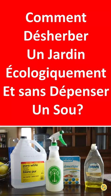 Vous Remarquez Des Parasites V G Taux Entre Les Dalles Dans Votre