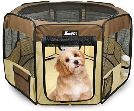 14 Best Portable Dog Fences For Camping: Easy Carry & SetUp